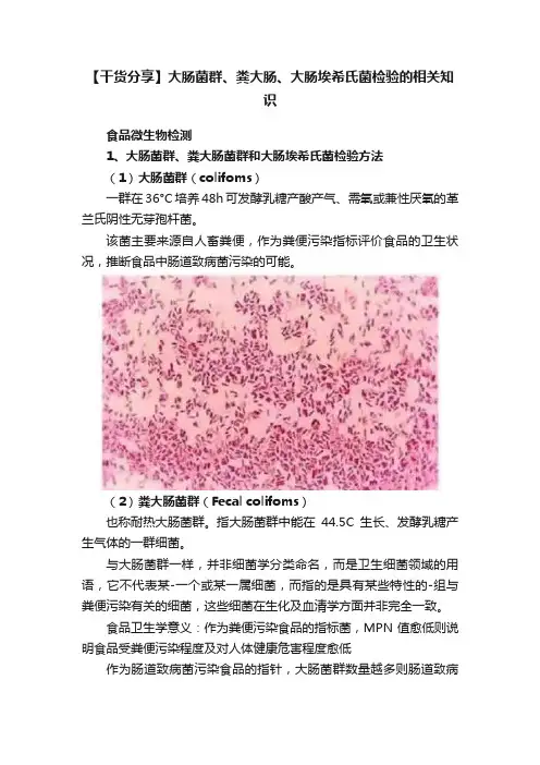 【干货分享】大肠菌群、粪大肠、大肠埃希氏菌检验的相关知识