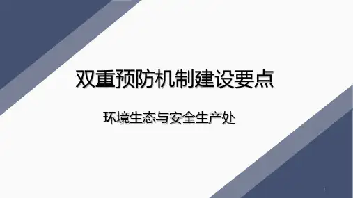 双重预防机制建设要点ppt课件