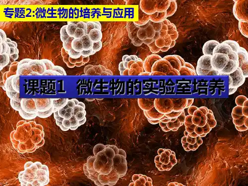 人教版高中生物选修一课件：2.1微生物的实验室培养 (共43张PPT)