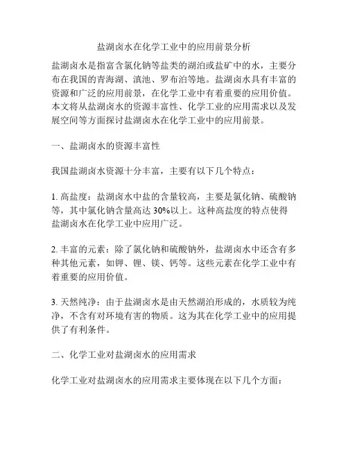 盐湖卤水在化学工业中的应用前景分析