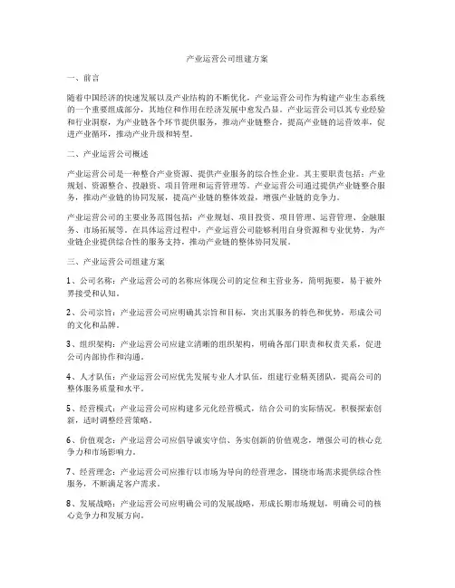产业运营公司组建方案
