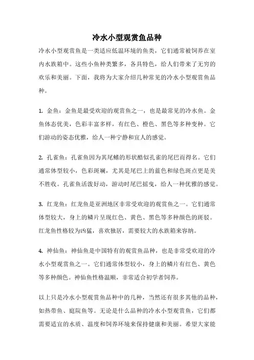 冷水小型观赏鱼品种