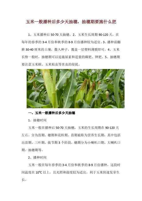 玉米一般播种后多少天抽穗,抽穗期要施什么肥