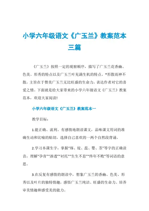 小学六年级语文《广玉兰》教案范本三篇