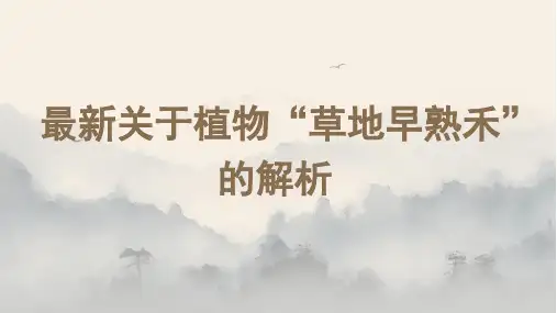 最新关于植物“草地早熟禾”的解析