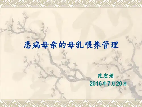 患病母亲的母乳喂养管理PPT课件