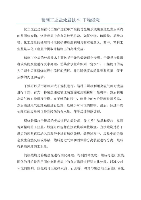 精制工业盐处置技术-干燥煅烧