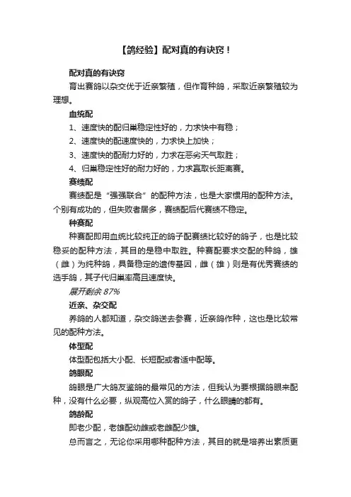 【鸽经验】配对真的有诀窍！