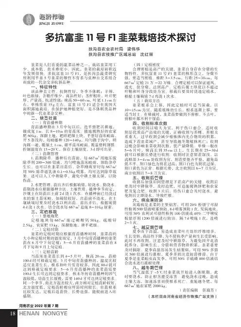 多抗富韭11 号F1 韭菜栽培技术探讨