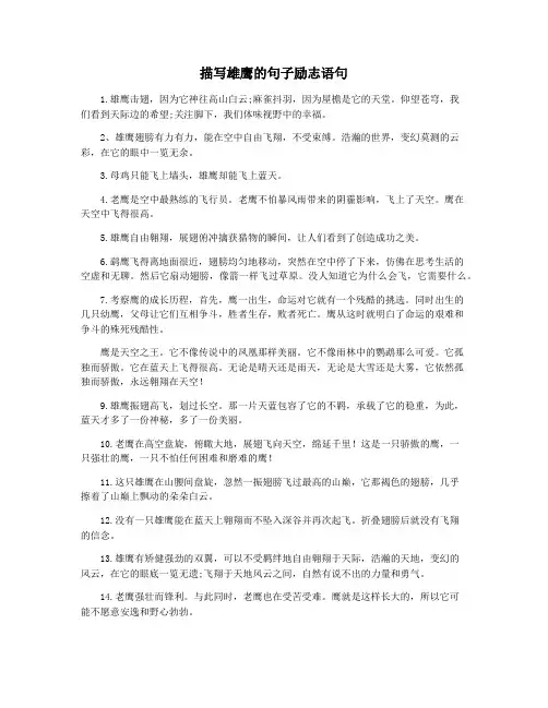描写雄鹰的句子励志语句