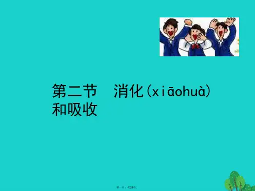 七年级生物下册4.2.2消化和吸收课件新人教版