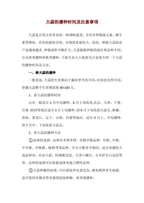 大蒜的播种时间及注意事项
