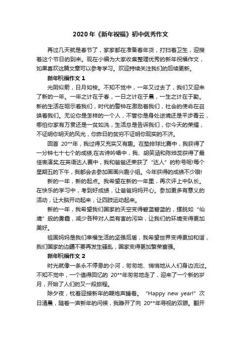 2020年《新年祝福》初中优秀作文