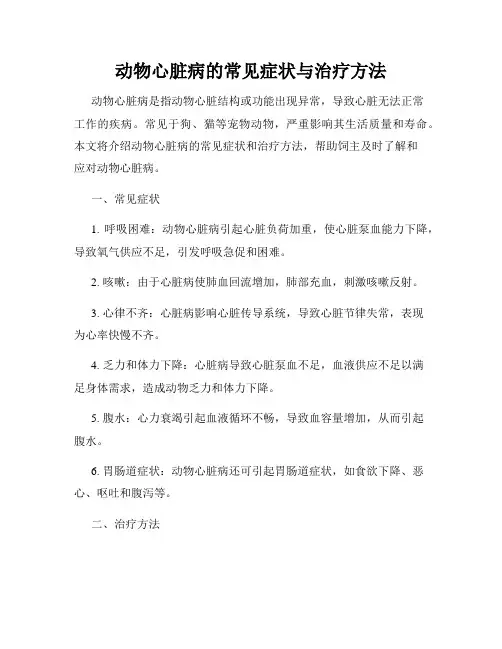 动物心脏病的常见症状与治疗方法