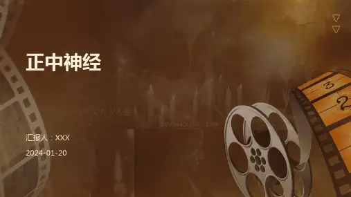 正中神经演示课件