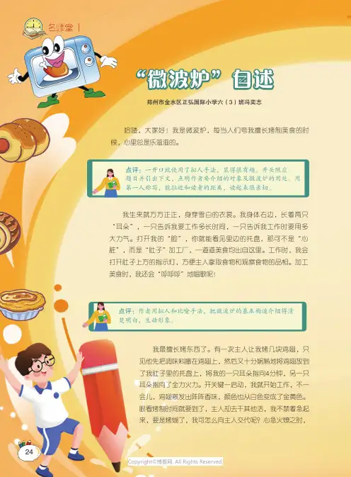 “微波炉”自述