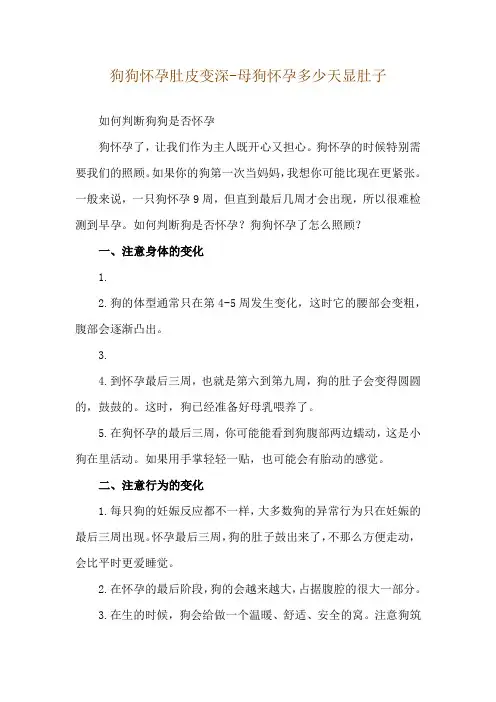狗狗怀孕肚皮变深-母狗怀孕多少天显肚子