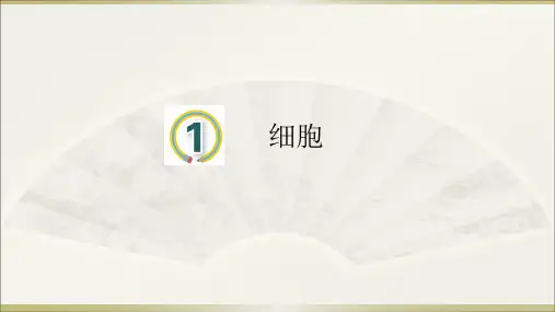 小学科学青岛版六三制六年级上册第一单元第1课《细胞》课件(2022)