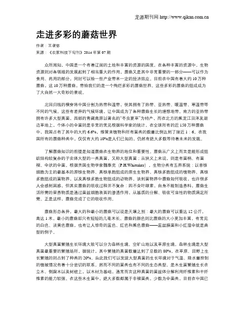 走进多彩的蘑菇世界