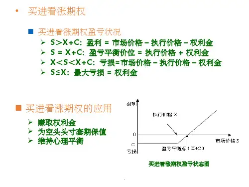 期权投资策略ppt课件