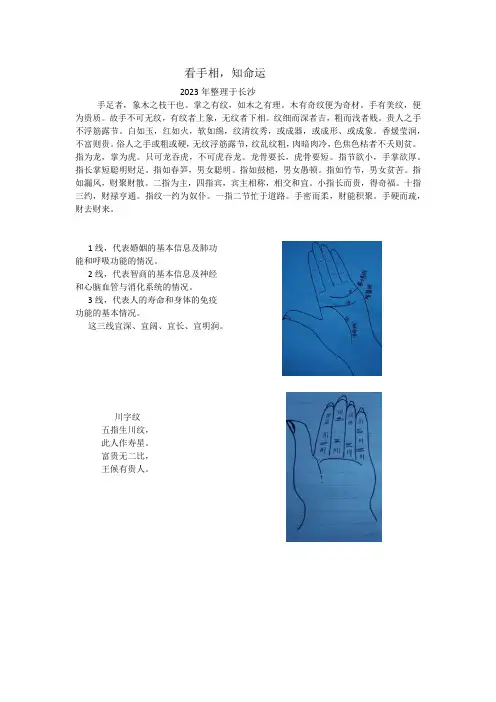 看手相,知命运