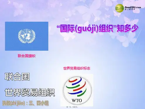 六年级品德与社会下册《国际组织知多少》课件(2) 未来版