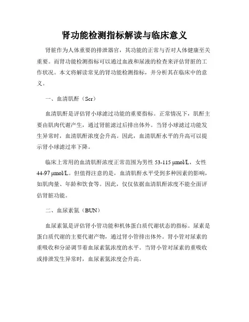 肾功能检测指标解读与临床意义