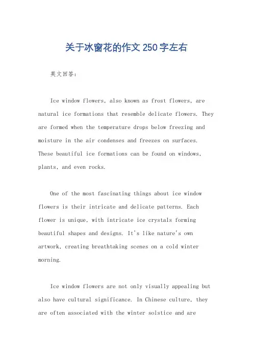 关于冰窗花的作文250字左右