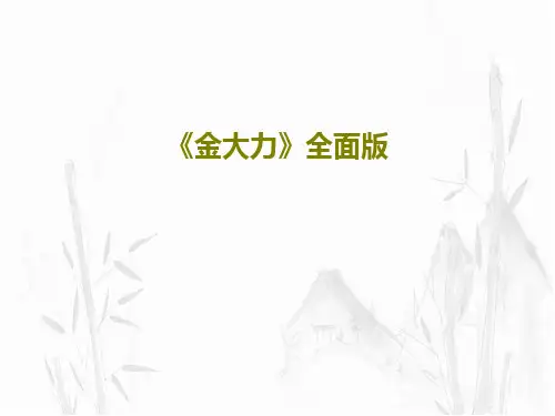 《金大力》全面版共25页