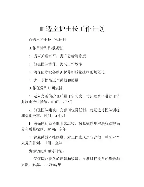 血透室护士长工作计划