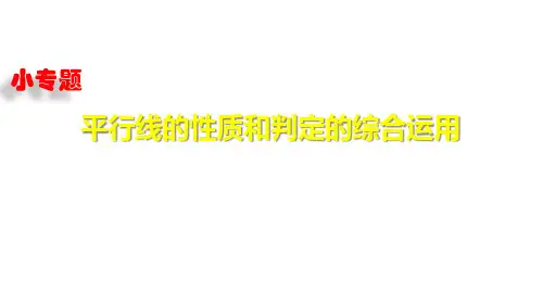 小专题3   平行线的性质和判定的综合运用