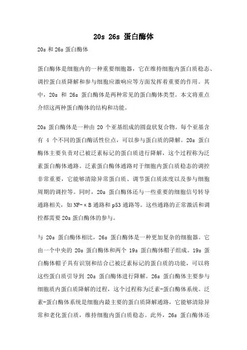 20s 26s 蛋白酶体