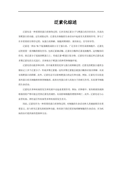 泛素化综述