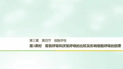 高中生物第三章细胞的代谢第四节细胞呼吸第2课时课件浙科版必修1