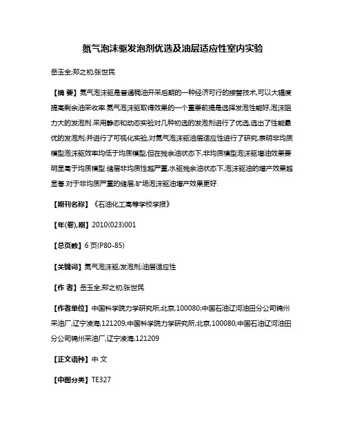 氮气泡沫驱发泡剂优选及油层适应性室内实验