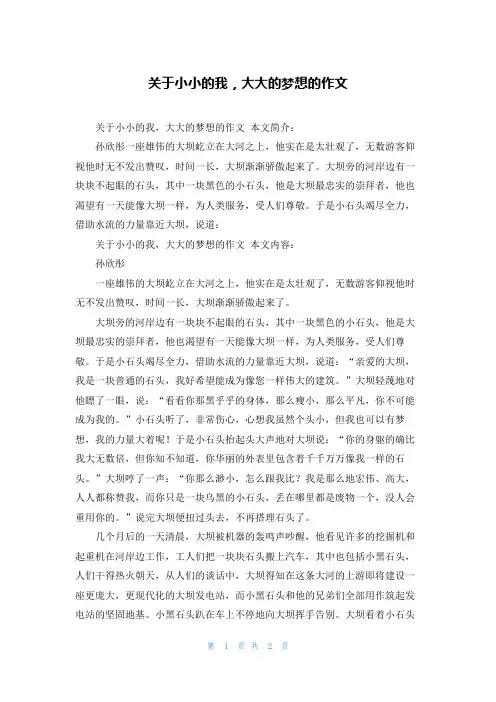 关于小小的我，大大的梦想的作文