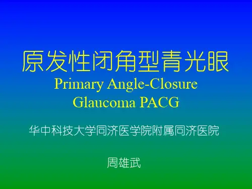 原发性青光眼1