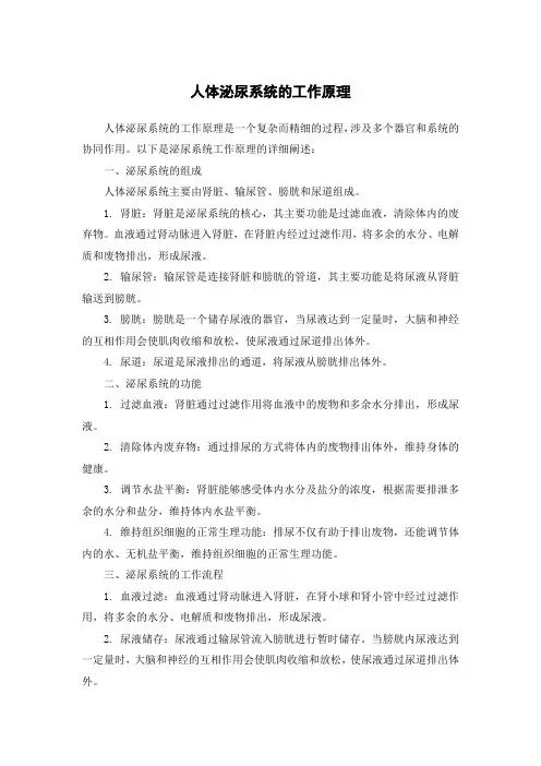 人体泌尿系统的工作原理