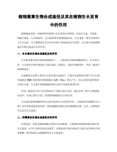 植物激素生物合成途径及其在植物生长发育中的作用