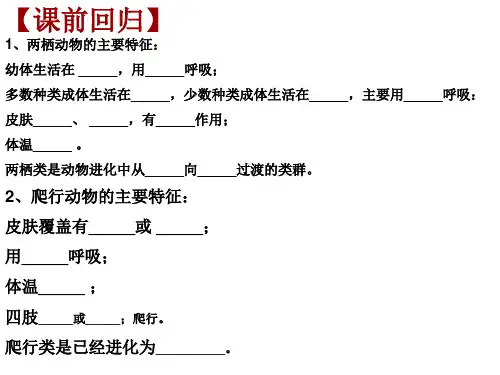 冀少版生物七年级上册 1.4.8 鸟类 课件 (5)