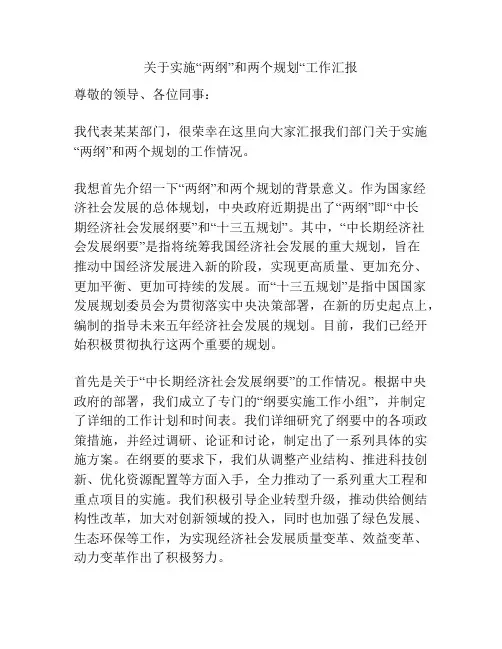 关于实施“两纲”和两个规划“工作汇报