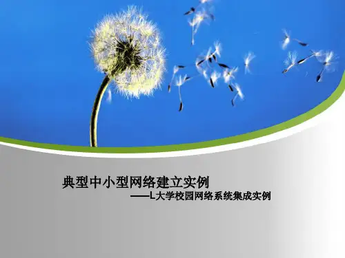 L大学校园网络系统集成实例