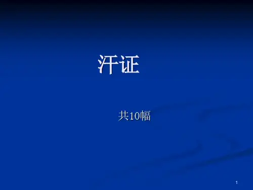 汗证PPT课件