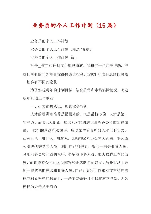 业务员的个人工作计划(15篇)