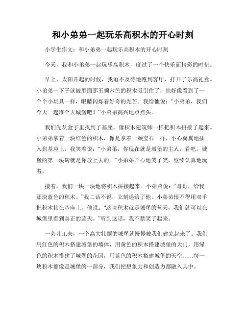 三年级作文那次玩得真高兴之和小弟弟一起玩乐高积木的开心时刻
