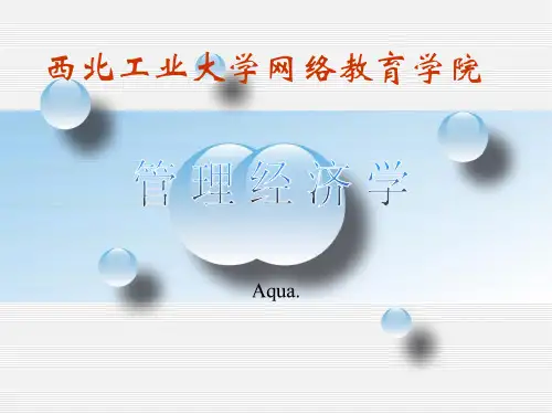 管理经济学(PPT143页)