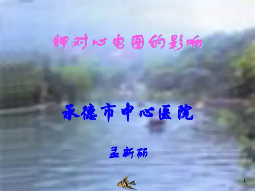 钾对心电图的影响PPT课件