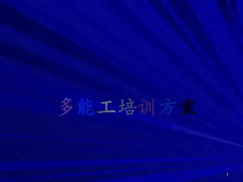 多能工培训计划