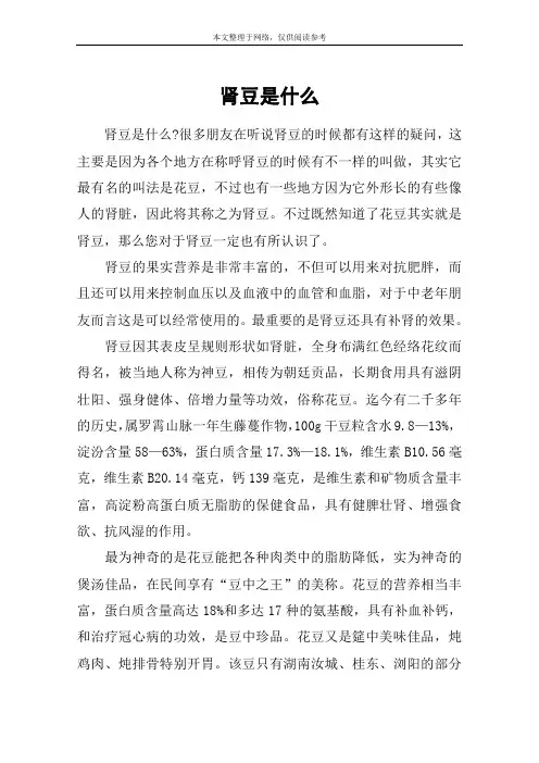 肾豆是什么