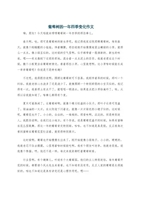 葡萄树的一年四季变化作文